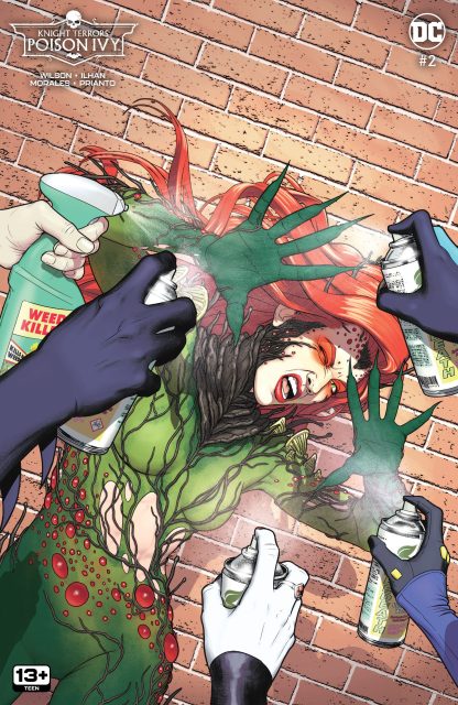 Card stock variant cover by Jamie KcKelvie knight terrors poison ivy 2 mckelvie variant