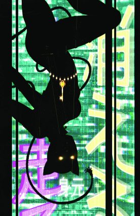 Catwoman #73 main cover by Sebastian Fiumara (DC Comics) catwoman #73 main cover